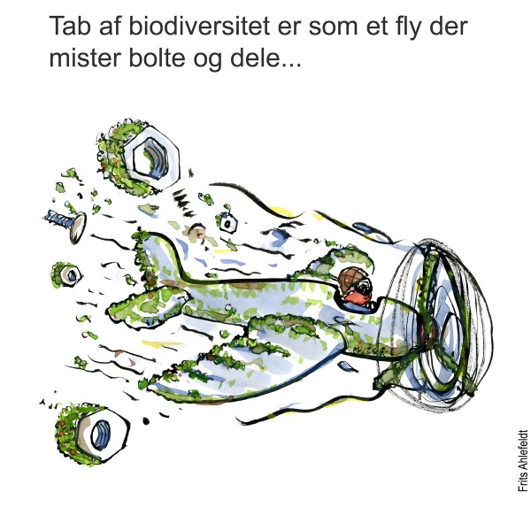 Tegning af flyvemaskine lavet af natur, som taber skruer og bolte. Biodiversitet illustration af Frits Ahlefeldt